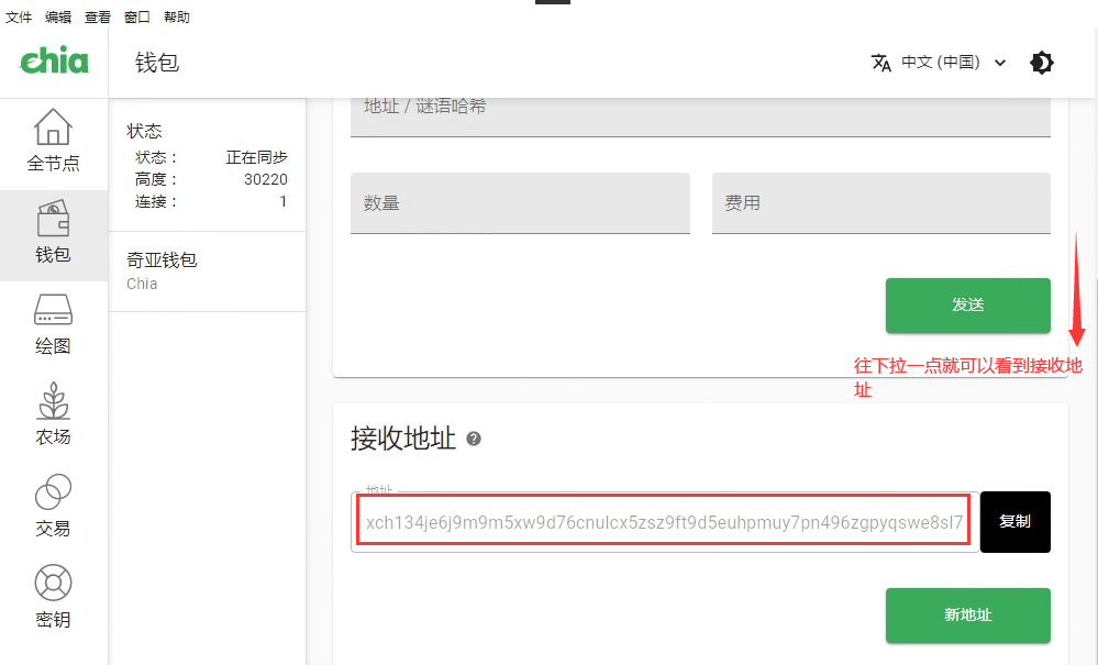 如何把Chia(XCH)矿池里面的币提现到本地钱包，操作演示教程-我爱收益