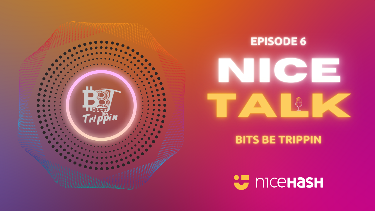 Bits Be Trippin' 是 NiceTalk 的下一个节目！-我爱收益