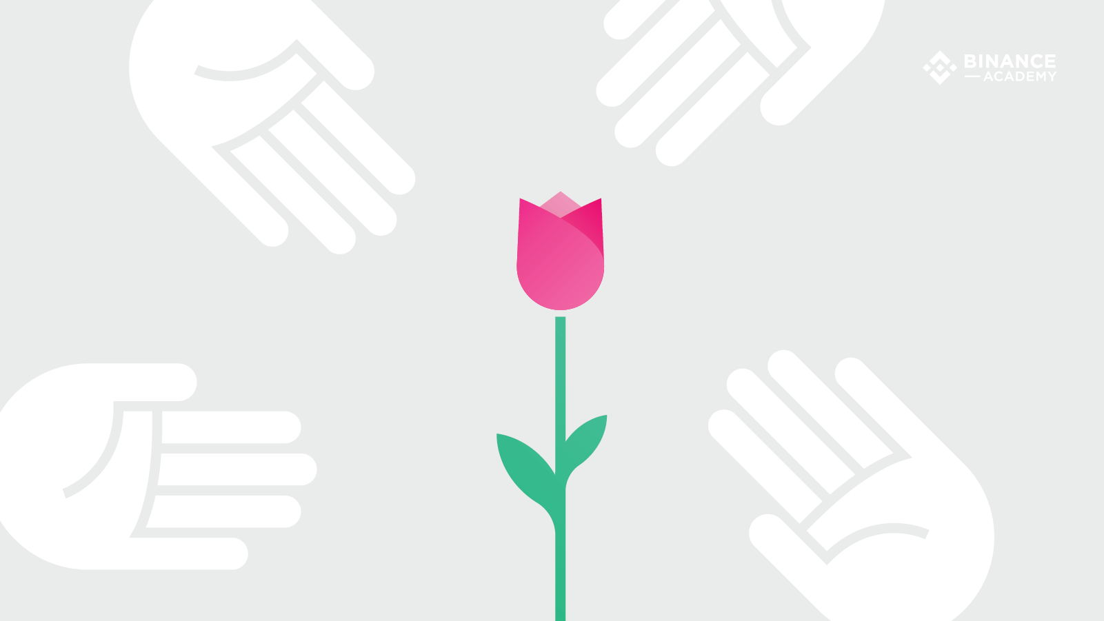 什么是郁金香热?-我爱收益