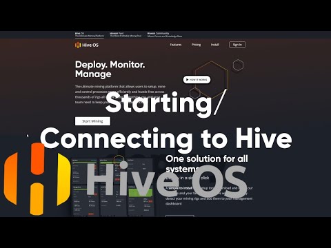 开始并连接到 Hive OS